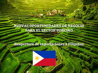NUEVAS OPORTUNIDADES DE NEGOCIO PARA EL SECTOR PORCINO 