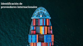Identificación de proveedores internacionales: CyComex